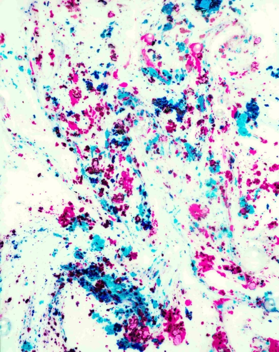 Abstract Colorful Pigment Dispersion – Pink, Cyan, and Blue Particles on White Background